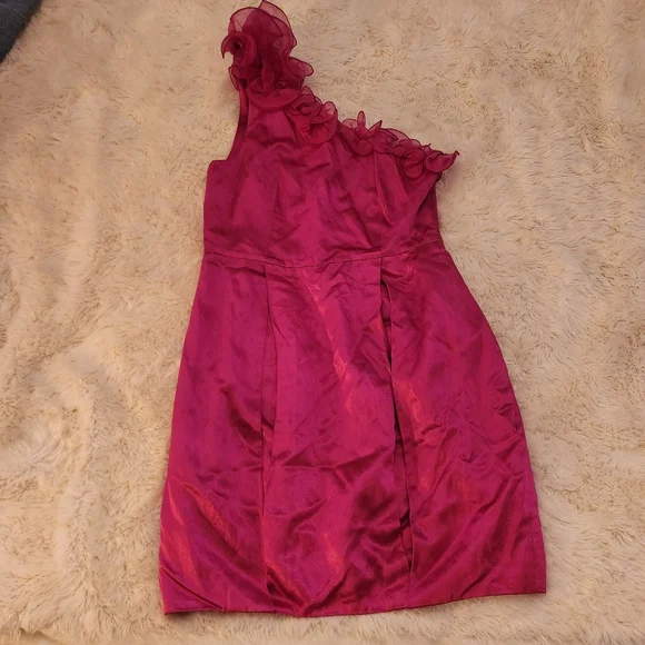 3.1 Phillip Lim Fucshia 1 Shoulder Ruffle Moni Dress Size 6 Small - Picture 8 of 11